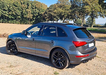 Audi SQ5 TDI competition black line Vollausstattung