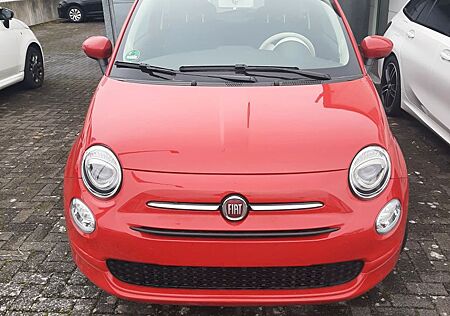 Fiat 500 1,0 Club Mild-Hybrid Klima-DAB-Tempomat