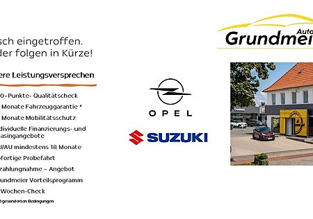 Opel Frontera GS Hybrid / 7-Sitzer/Allwetter/Kamera