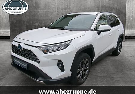 Toyota RAV 4 Hybrid 2,5 VVT-i EU6d 4x2 Team D, Technik-