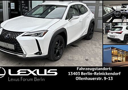 Lexus UX 250h FWD EXECUTIVE  *Standheizung*AHK*WKR*