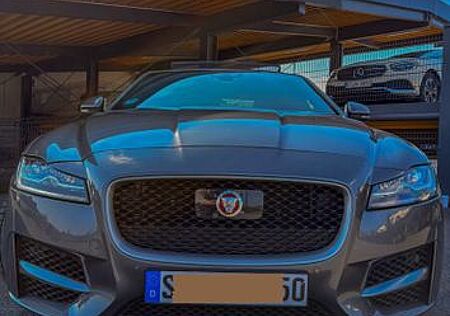 Jaguar XF 30D S 300PS Automatik S