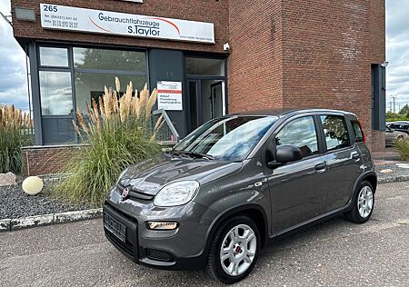 Fiat Panda Base