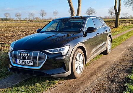 Audi e-tron 50 quattro - Leder - Navi - LED