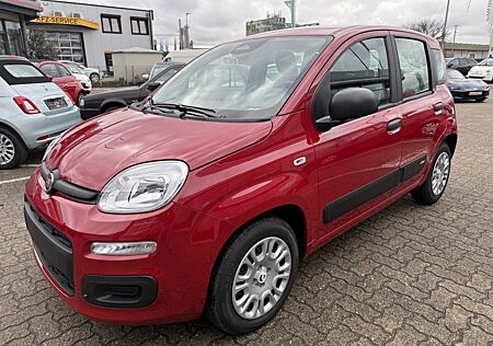 Fiat Panda 1.0 Hybrid SITZHEIZUNG,ALLWETTER,TFT-TACHO