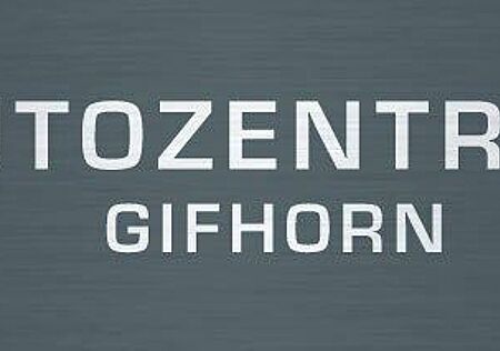 VW T6 Multivan Volkswagen T6.1 Multivan Aut. Family/AHK/ALU/PDC/2.Klima