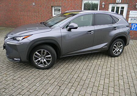 Lexus NX 300 NX 300H Executive Line