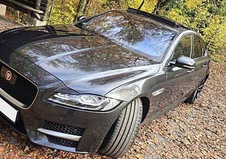 Jaguar XF 30d 300PS R-Sport Automatik