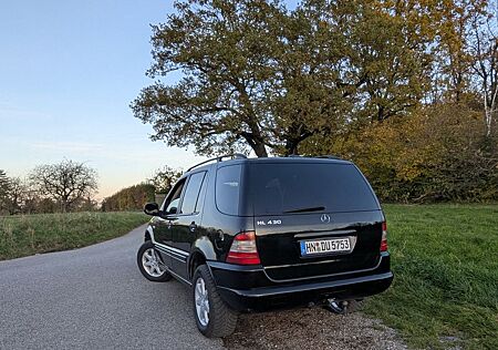 Mercedes-Benz ML 430 gebraucht kaufen Mercedes-Benz ML 430 -Benziner für Bastler