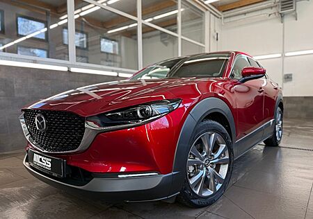 Mazda CX-30 Selection 2WD LED KAMERA BOSE HUD 360
