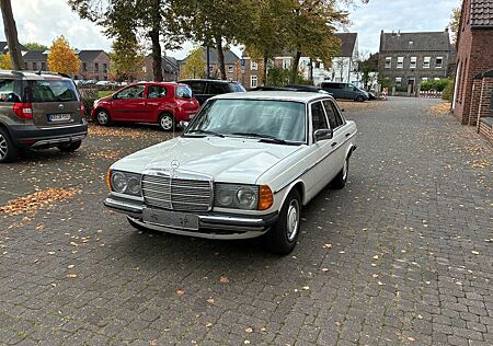 Mercedes-Benz 240 W 123 Restauriert