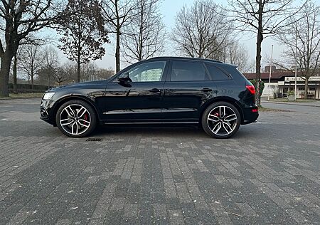 Audi SQ5 Competition plus Kamera DAB Leder 21" uvm.