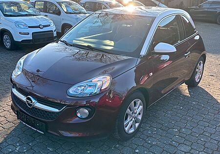 Opel Adam 120 Jahre Winterpaket
