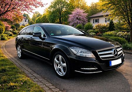 Mercedes-Benz CLS 250 Shooting Brake CLS 250 AHK Kamera Assist Scheckheft Schiebedach