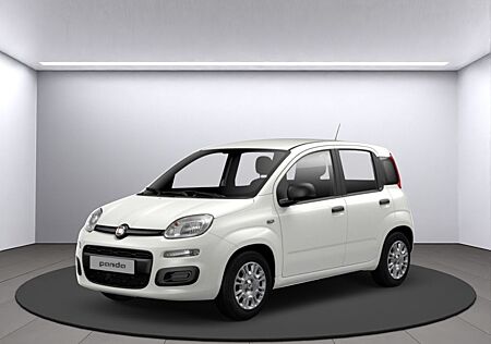 Fiat Panda PANDINA Hybrid 70 PS, Gelato Weiß, Klima,