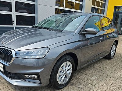 Skoda Fabia Selection AHK/Kam./GRA/PDC/SHZ/5J.o.100Tkm