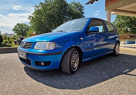 VW Polo Volkswagen 1.4 + Ronal R10 Turbo, Fahrwerk, Hifi