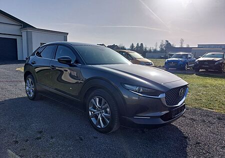 Mazda CX-30 /Navi/LED/Kamera/PDC/SHZ/wenig KM