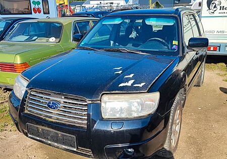 Subaru Forester 2.0X Active Winterpaket Active Wint...