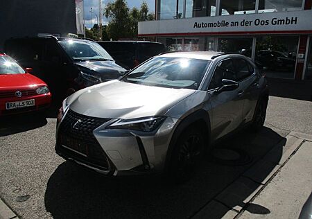 Lexus UX gebraucht kaufen Lexus UX UX250h Style+ Edition, Kamera, SHZ, TWW, Apple