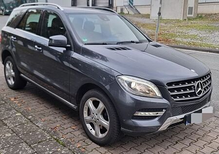 Mercedes-Benz ML 250 gebraucht kaufen Mercedes-Benz ML 250 BlueTEC 4MATIC -
