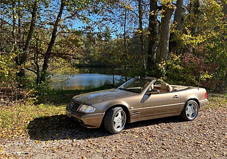 Mercedes-Benz SL 500 - R 129 supergepflegter Zustand