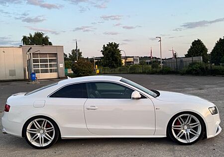 Audi A5 3.0 TDI (DPF) quattro -