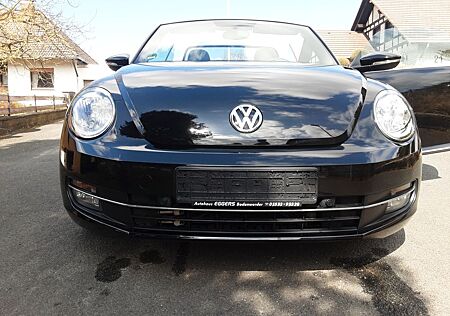 VW Beetle gebraucht kaufen VW Beetle Volkswagen 1.2 TSI BMT ALLSTAR Cabriolet ALLSTAR