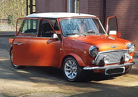 Rover Andere