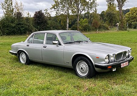 Jaguar Daimler Double Six , ABS , H Nr sehr schön