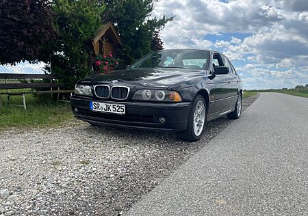 BMW 525 - TÜV NEU - ALCANTARA/SPORT