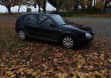 VW Golf Volkswagen 4 Basis 1.6i NAVI