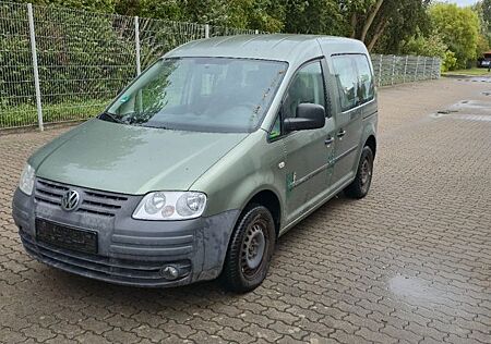 VW Caddy gebraucht kaufen VW Caddy Volkswagen Life/Klima/5Sitze/Rollstuhlrampe