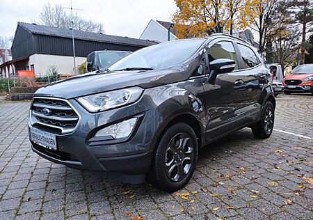 Ford EcoSport Cool&Connect Winter-P. Kamera PP