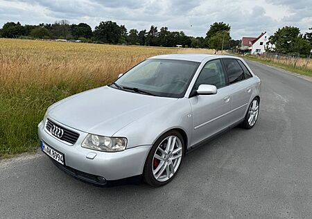 Audi A3 1.8T 132kW tiptronic Voll - KW Recaro Bose