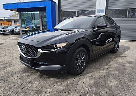 Mazda CX-30 Selection LED/Carplay/360°/ACC/SHZ/HUD