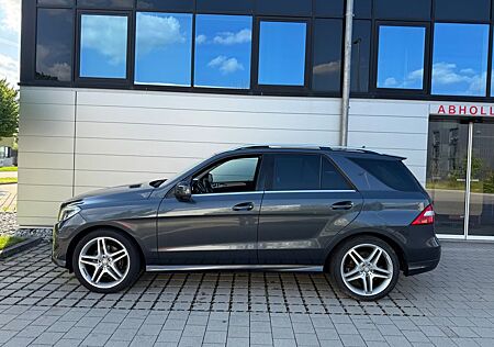 Mercedes-Benz ML 350 4 Matic AMG/Schiebedach/AHK