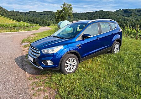Ford Kuga 1,5 EcoBoost 4x2 110kW, AHK, 8-fach-bereift