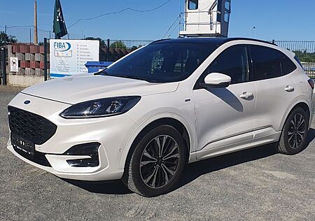 Ford Kuga ST-Line X *Vollausstattung, FGS, arktik-w.*