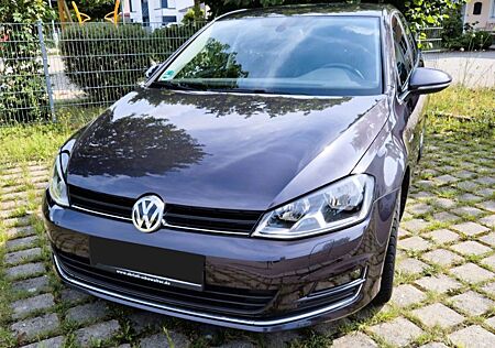 VW Golf Volkswagen 1.6 TDI DSG BMT LOUNGE LOUNGE