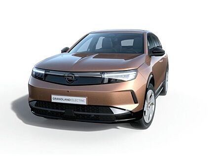 Opel Grandland X Grandland Electric Edition 73 kWh Batterie