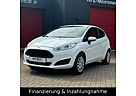 Ford Fiesta Klima Multifunktion Service Neu
