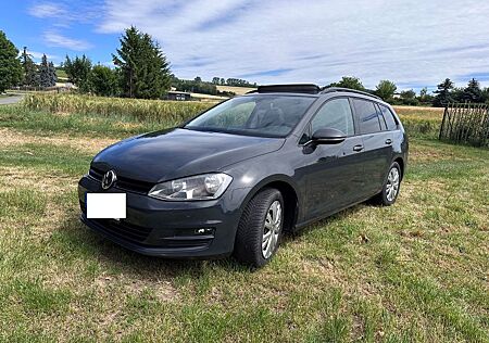 VW Golf Volkswagen 7 Variant 1.6 TDI Standhzg Pano ACC