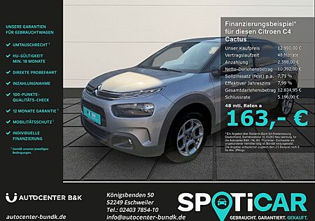 Citroën C4 Cactus PureTech 110 EAT6 Shine Kamera SHZ DAB