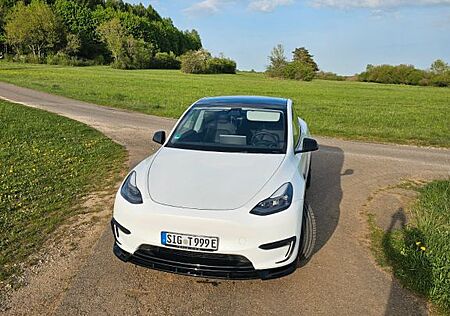 Tesla Model Y Performance Dual Motor AWD Performance