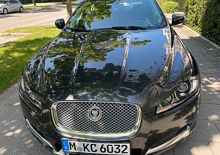 Jaguar XF 2.2 L Diesel - nicht fahrtauglich