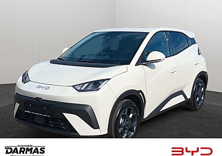 BYD DOLPHIN SURF Comfort