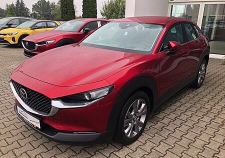 Mazda CX-30 2.0l SKYACTIV-X SELECTION Leder