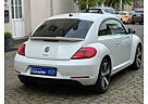 VW Beetle Volkswagen Lim. Design