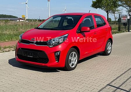 Kia Picanto Edition7 Klima 5-Tür TÜV Neu Navi AppleC